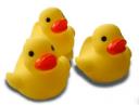 mini_rubber_duckies250.jpg